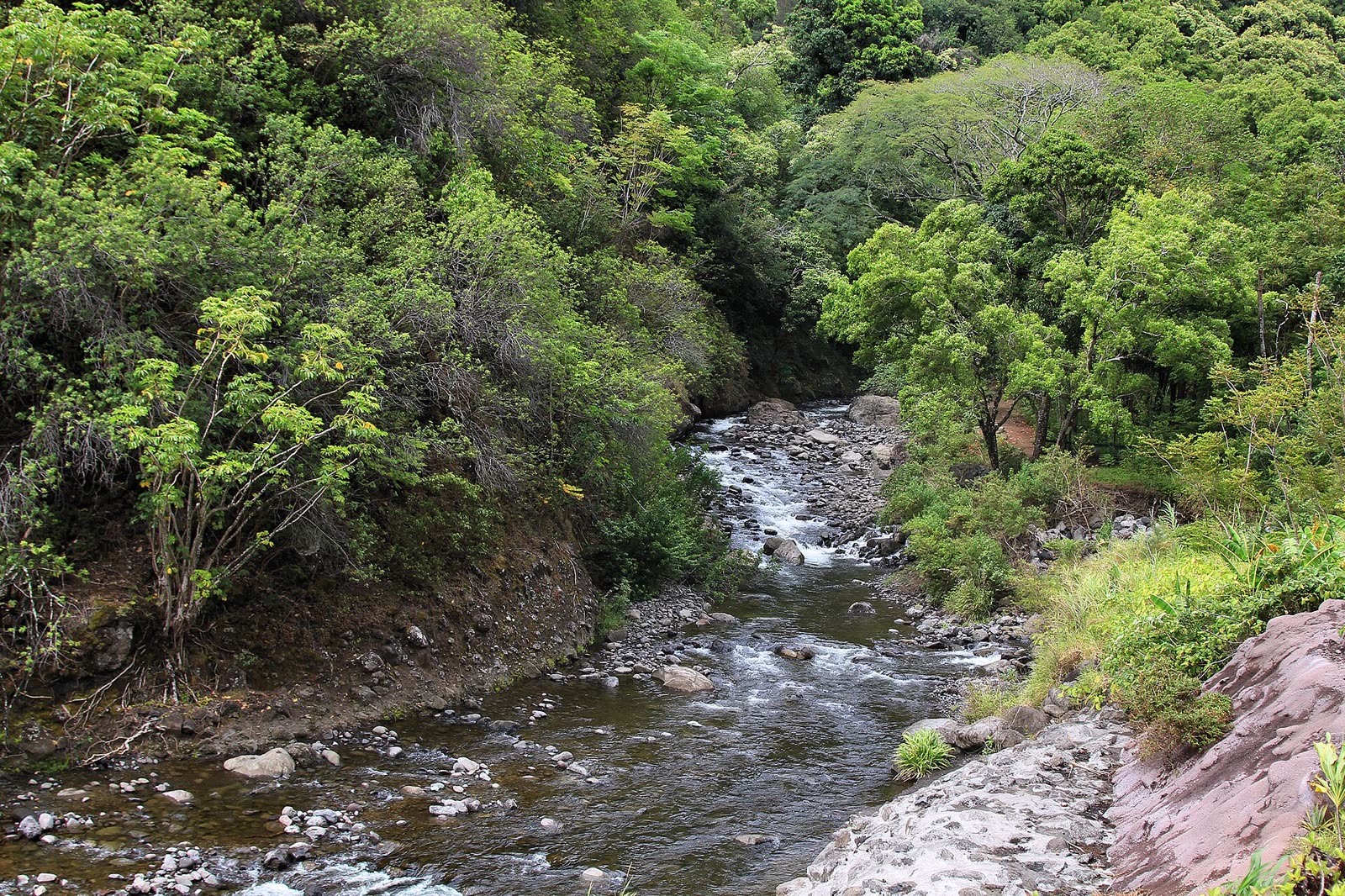 'Iao Valley and the West Maui Mountains