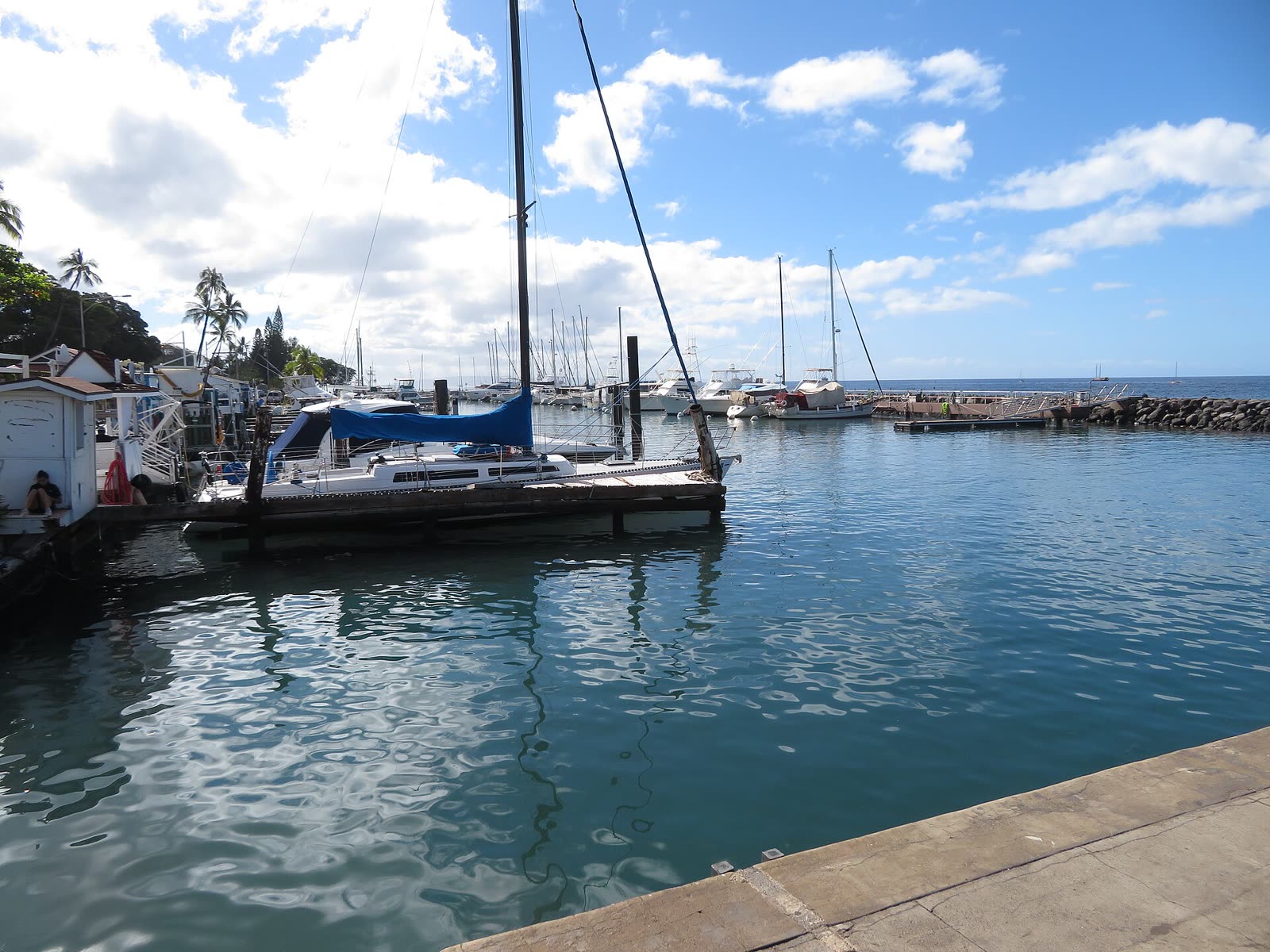 Lahaina Maui