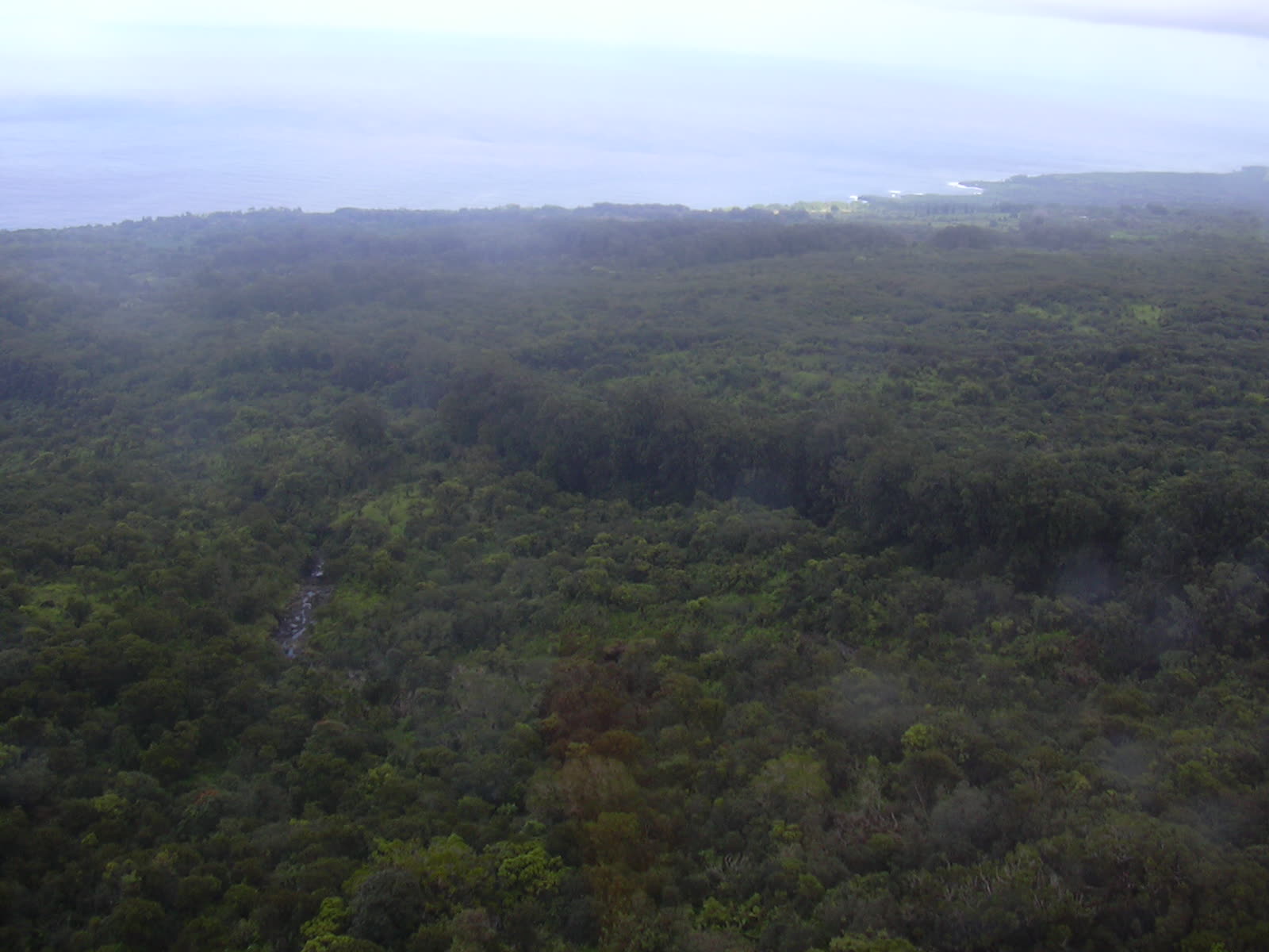 Napili Maui