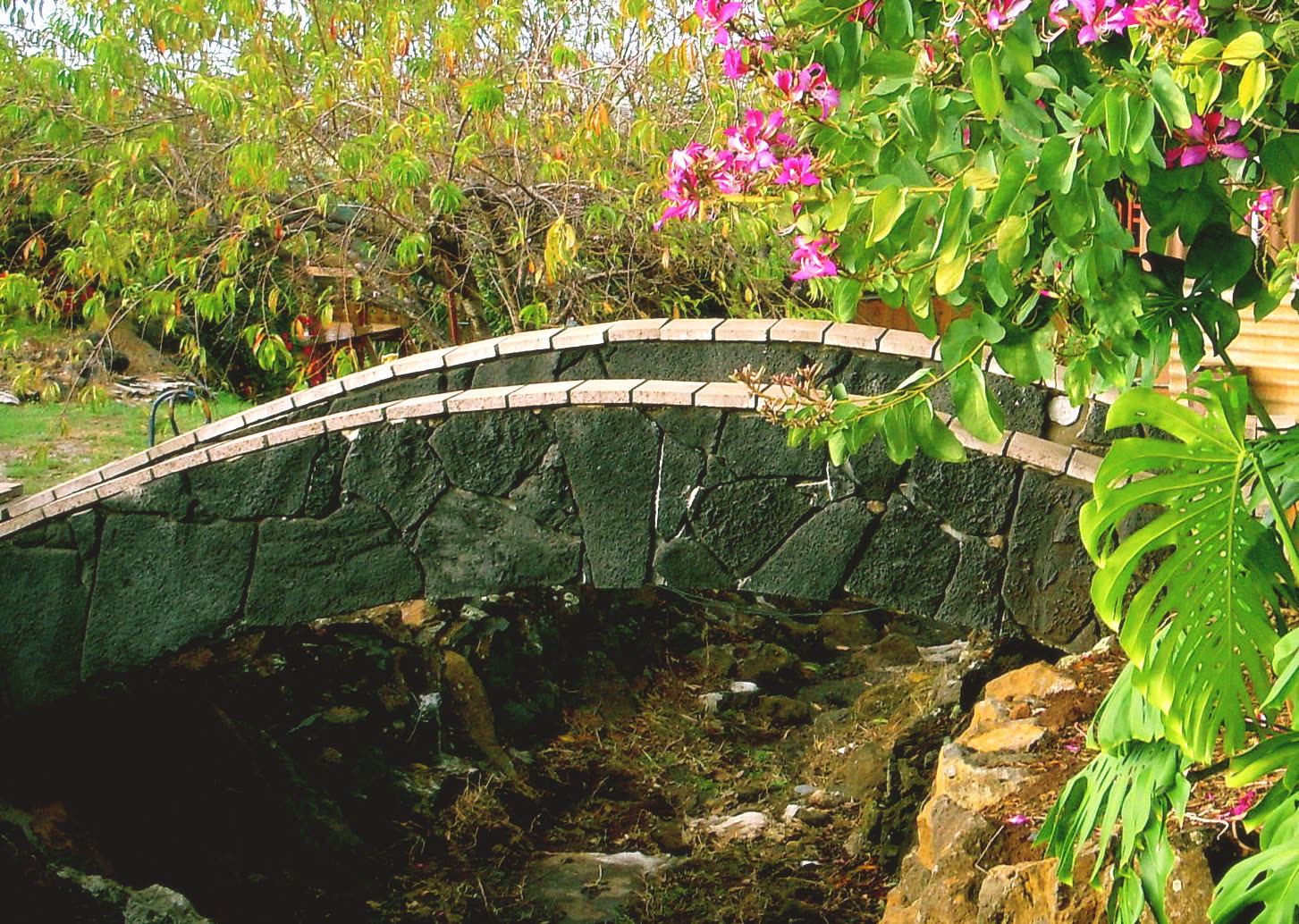 Kula Maui