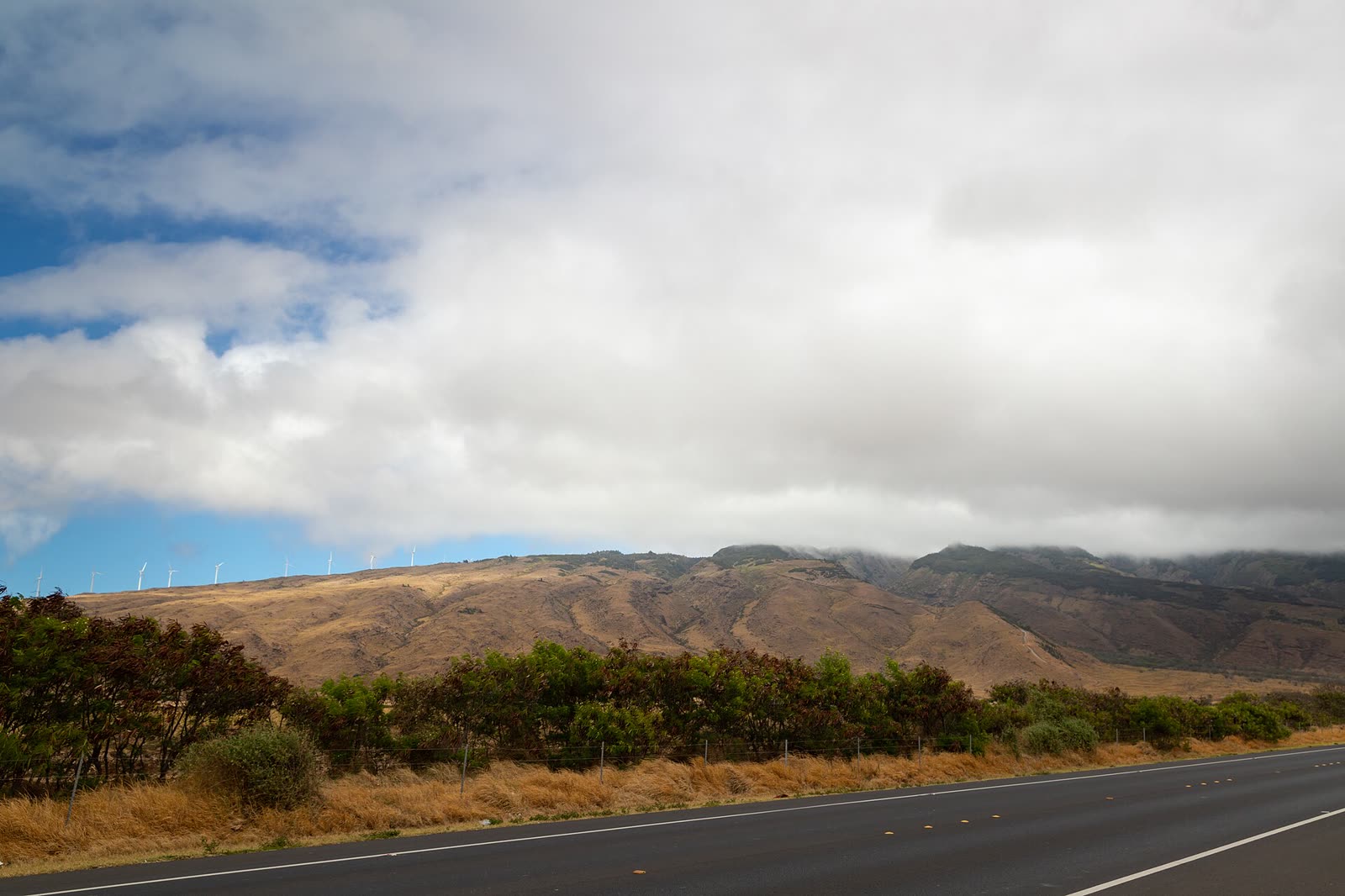 Kapalua Maui