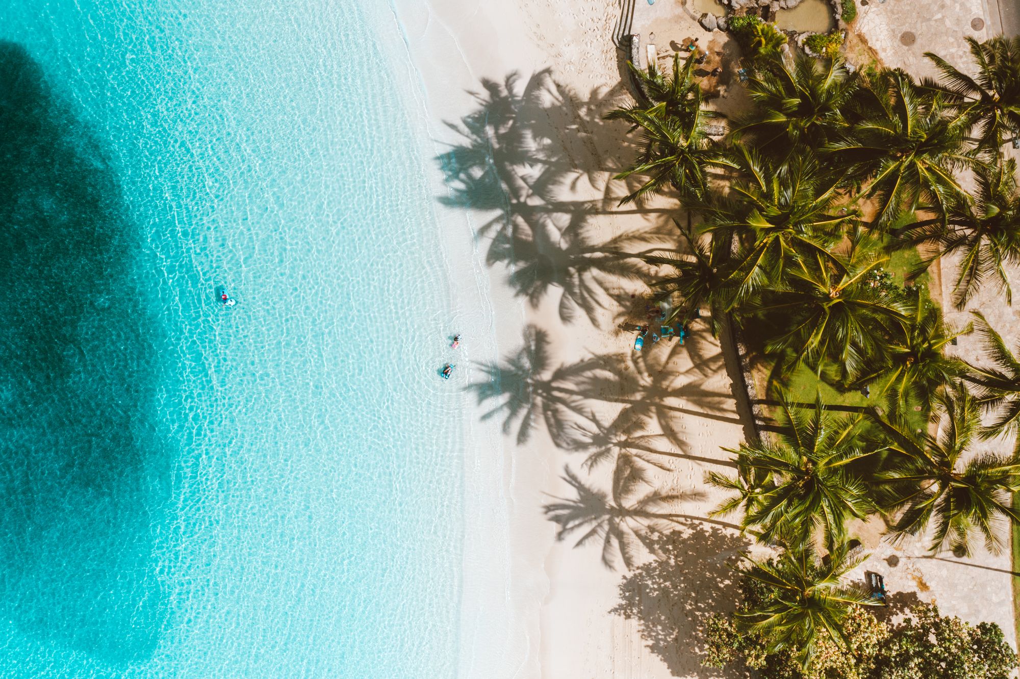 Aerial of palms and white sand